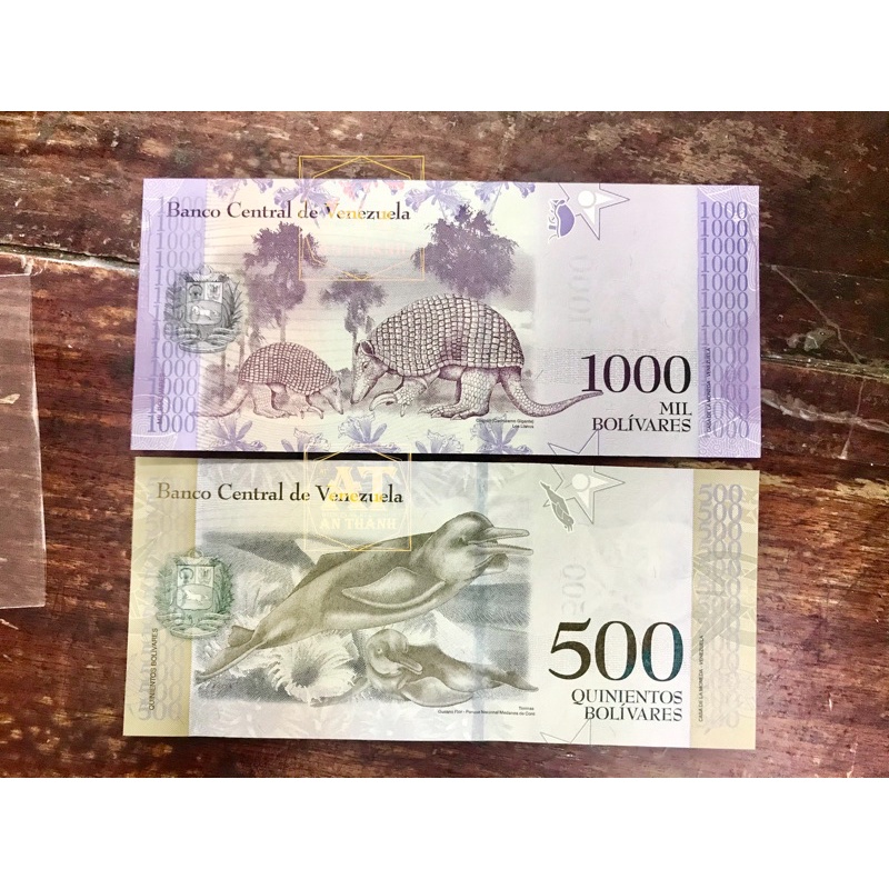 (Đẹp) Combo 2 tờ tiền hình động vật sưu tầm hình cá heo dùng lưu niệm trưng bày quà tặng độc lạ may mắn