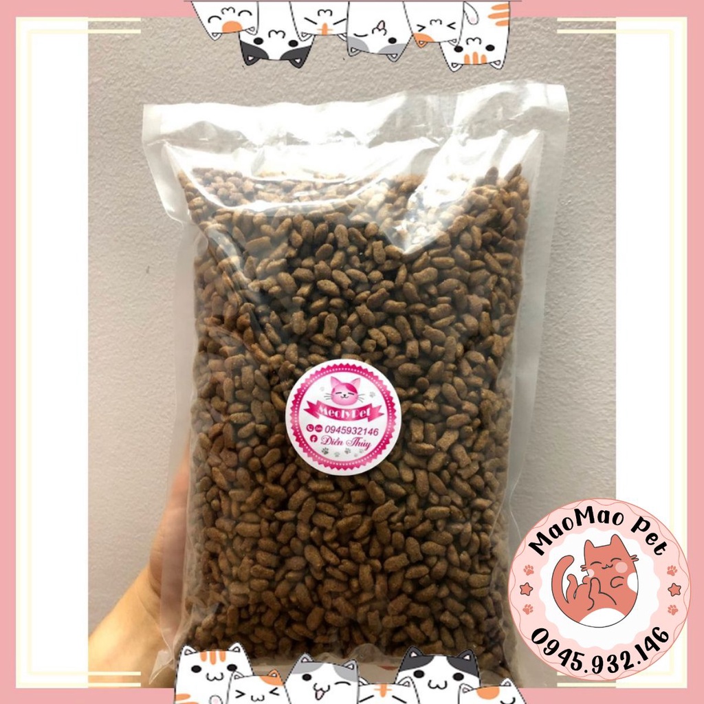 💟 [ HÀNG GIÁ RẺ ] 💕 Hạt cho mèo Cateye 1kg (Túi chân không) 🐱