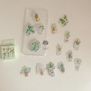 ST025 - STICKER HOẠ TIẾT CÂY CỐI