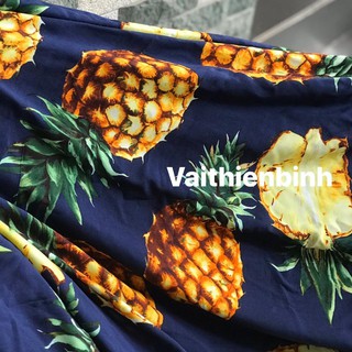 2m vải tole/lanh (Trái khóm)