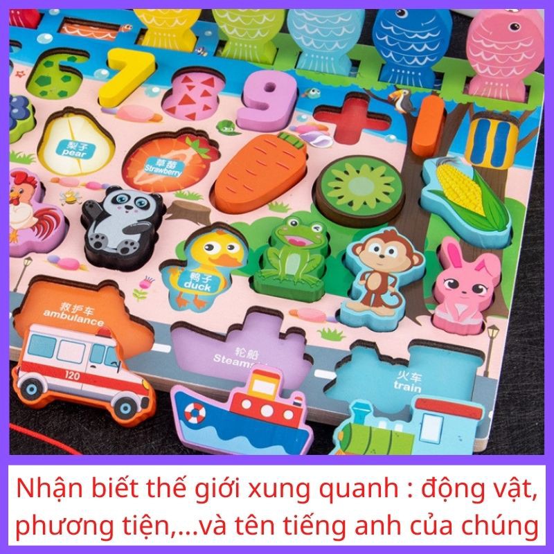 Bộ câu cá gỗ nhiều chủ đề