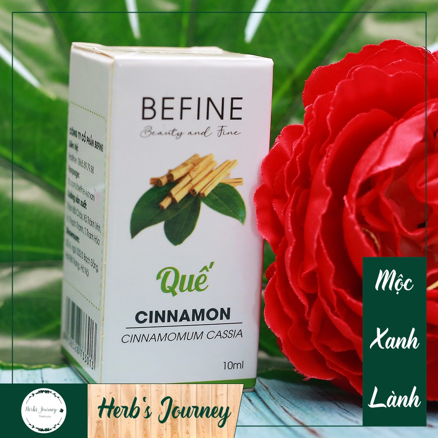 Tinh dầu Quế nguyên chất - BEFINE - Chưng cất tự nhiên - Thơm phòng, giữ ấm