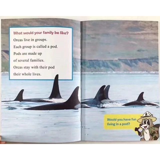 [Freeship]Bộ Nhập - I can read 1+2 (Full 14c)