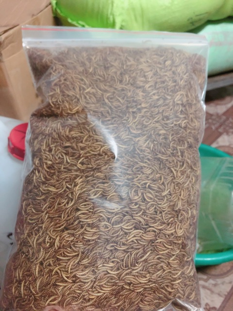 Sâu gạo sấy - Gói 500g. Sâu gạo cho thú nuôi.