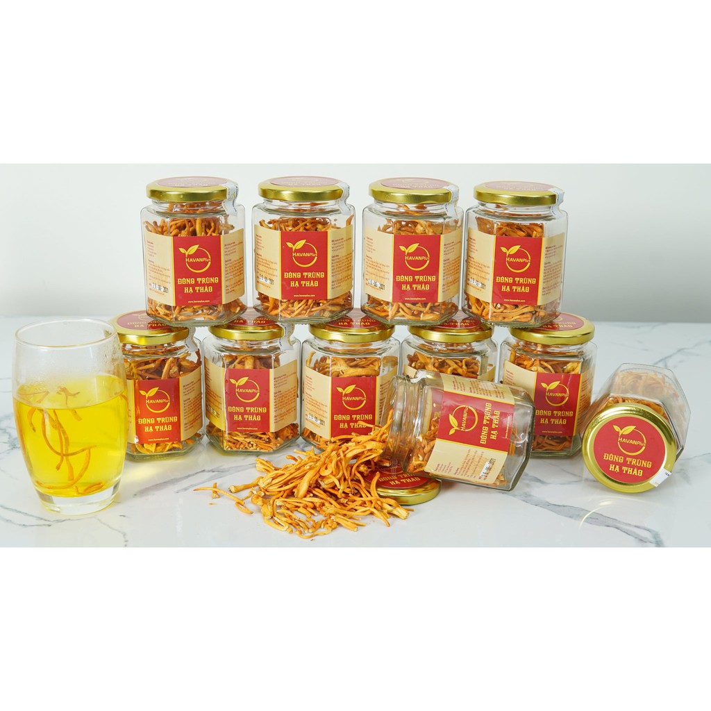 Đông Trùng Hạ Thảo sấy khô hộp 10gr | BigBuy360 - bigbuy360.vn