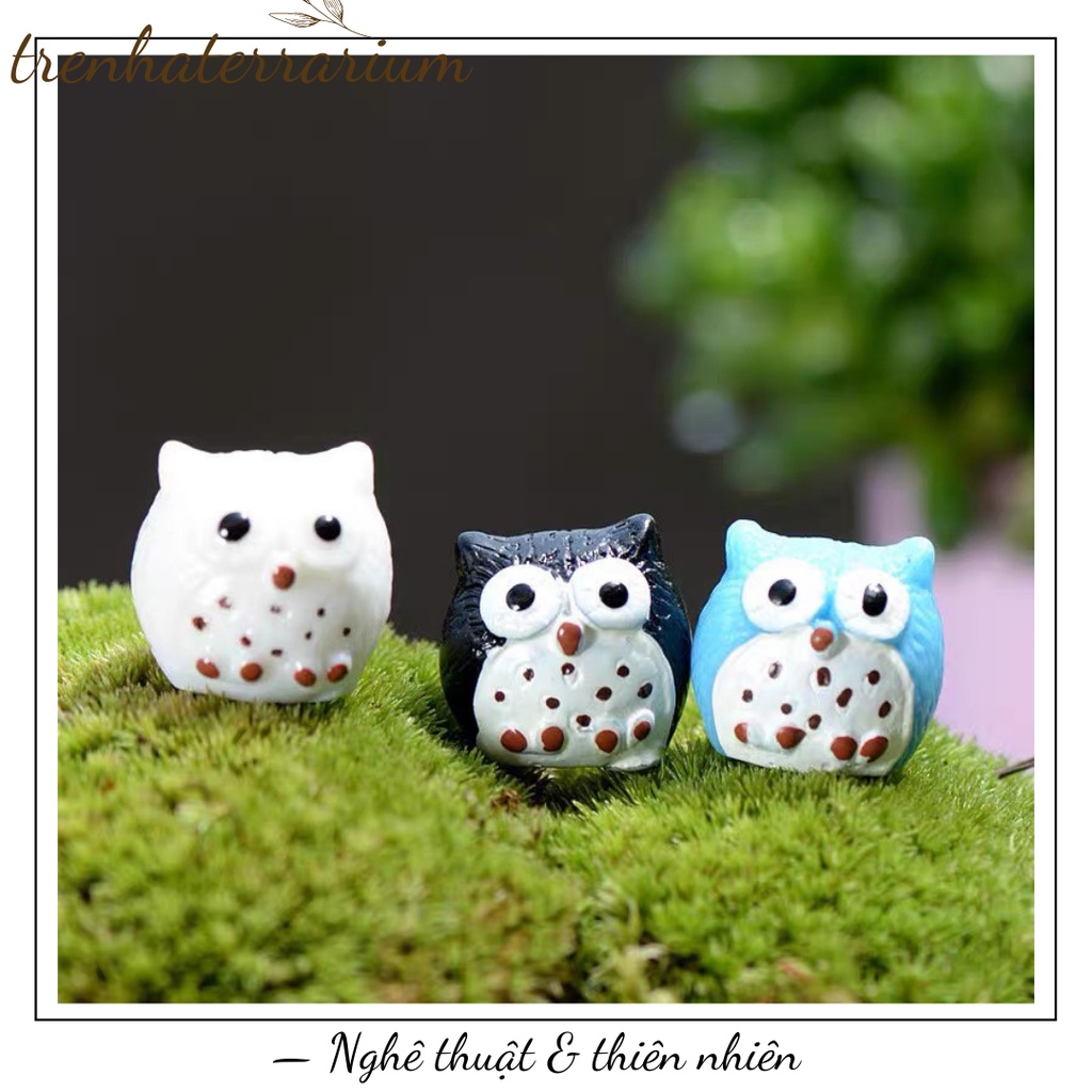 Tiểu cảnh cú 4 màu nhỏ Cú rêu phong cảnh nhỏ, terrarium