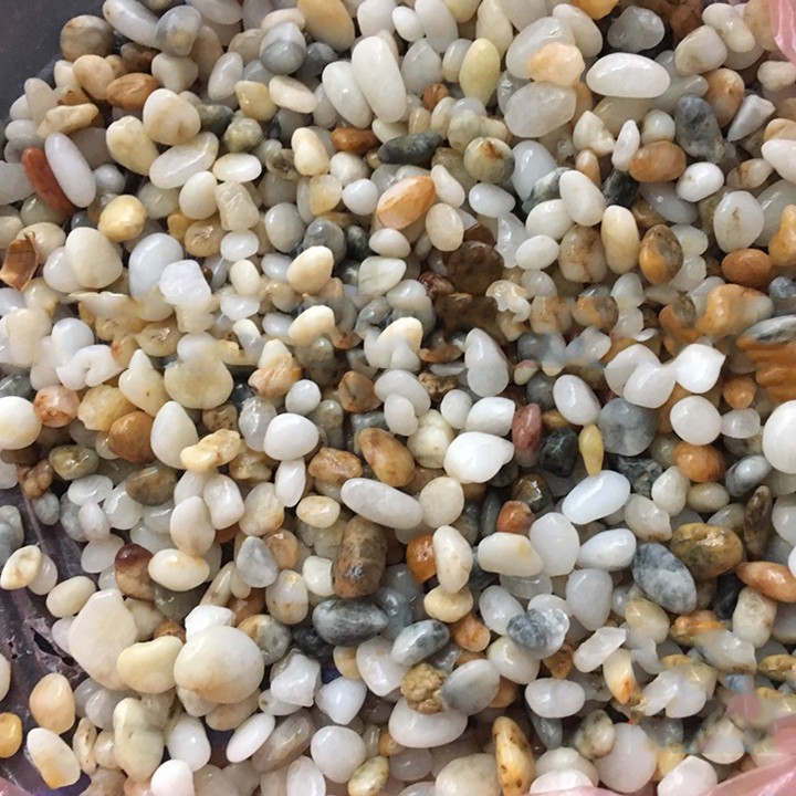 1kg Sỏi suối trải nền hồ cá, hồ thủy sinh - Phụ kiện thủy sinh