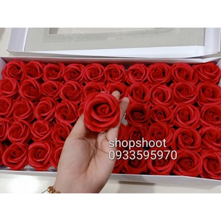 Hoa Sáp 4 lớp loại 1