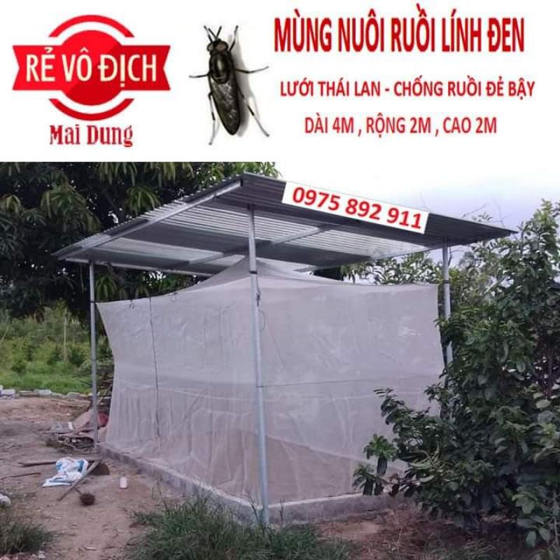 Mùng nuôi ruồi lính đen - lưới thái lan ( mai dung )