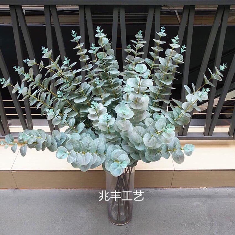 Cành lá táo điểm nhiều màu