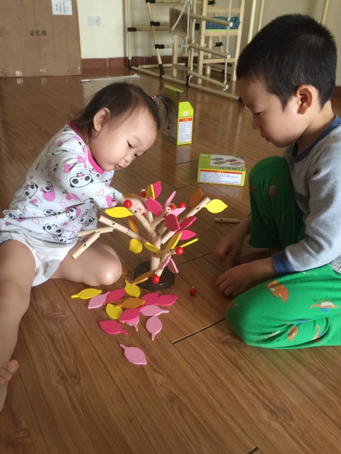 Lắp ghép cây lá gỗ Montessori