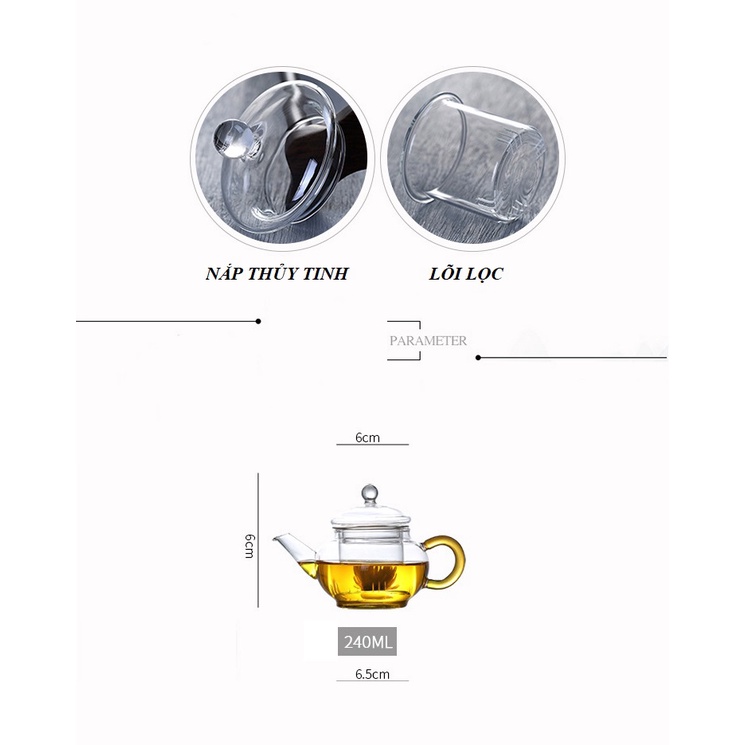 Ấm Thủy Tinh Pha Trà có lõi lọc 250 ml