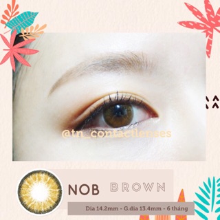 Kính áp tròng hàn quốc - nob brown 14.2 - nâu tự nhiên - độ cận 0-6