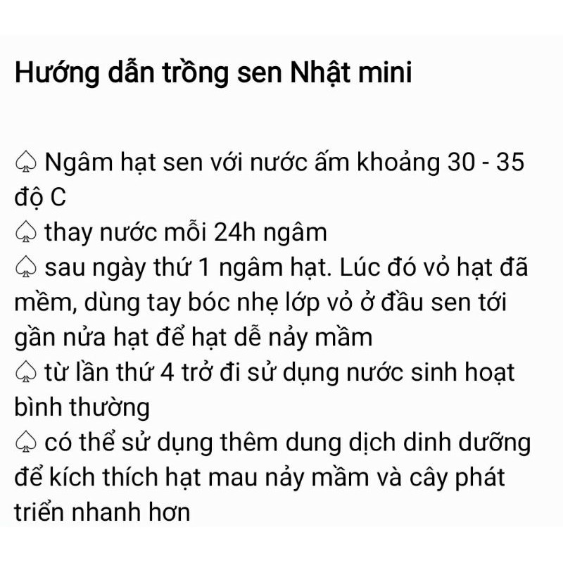 Sen Nhật Mini Đã Cắt Đầu Hạt