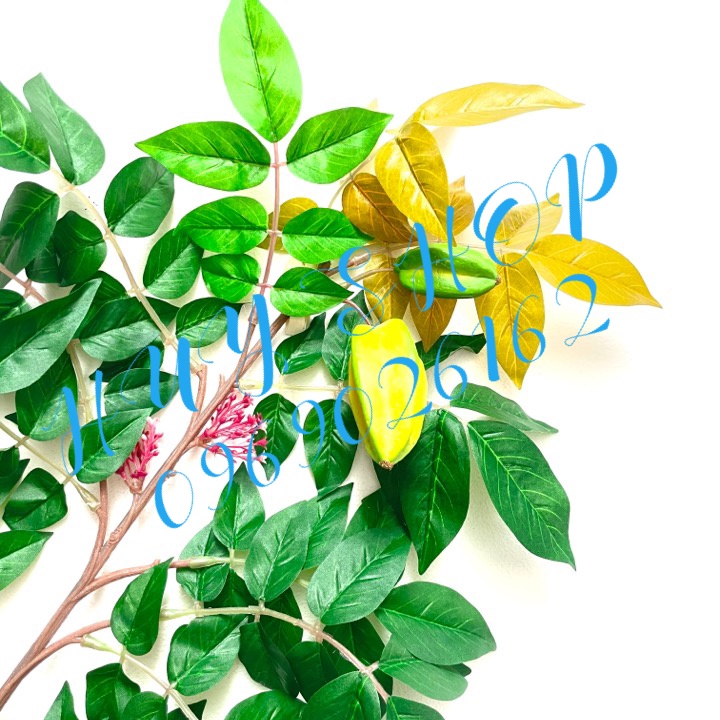 Cành Trái KHẾ nhân tạo trang trí nhà cửa