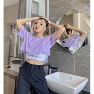 Áo Thun Croptop GROUNDBREAKING 1974 (Set 2 áo CROPTOP & BRA)
