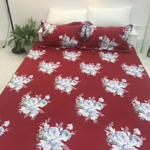 Set ga gối  100% cotton Hàn Quốc chuẩn loại 1