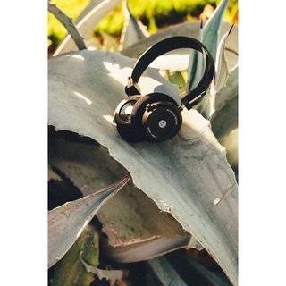 Tai nghe bluetooth Grado GW100
