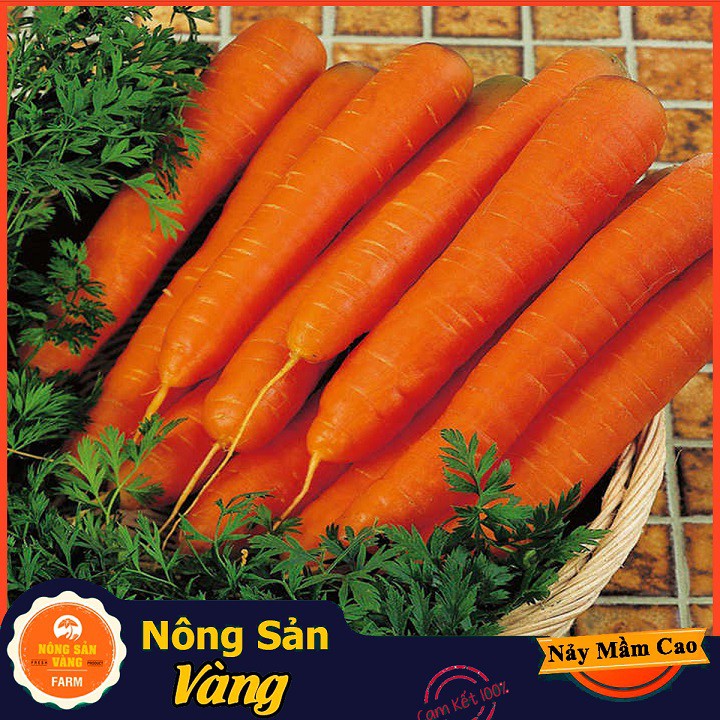 Hạt giống Cà Rốt Củ To F1 ( 3 Gram ) - Nông Sản Vàng