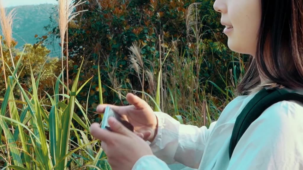 Bộ Chuyển Đổi Nguồn Điện DC 12V Sang AC220V 1.2A & 2.4A USB 1 QC3.0 USB Và 1 Cổng Type C Cho Xe Hơi | BigBuy360 - bigbuy360.vn