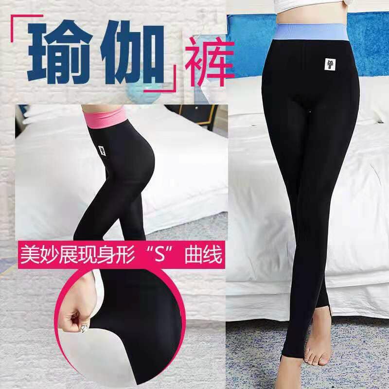 Quần mèo lót lông cạp màu