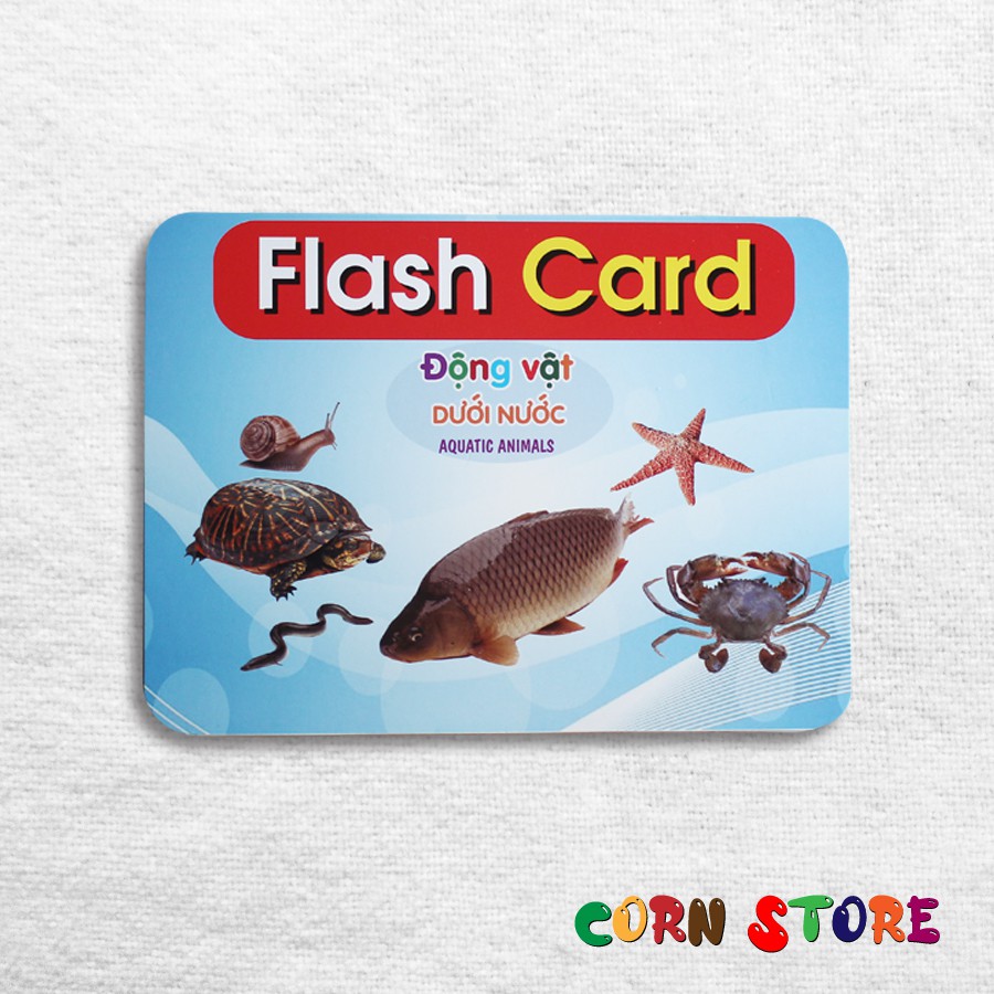 FLASH CARD - THỂ HỌC THÔNG MINH SIZE LỚN