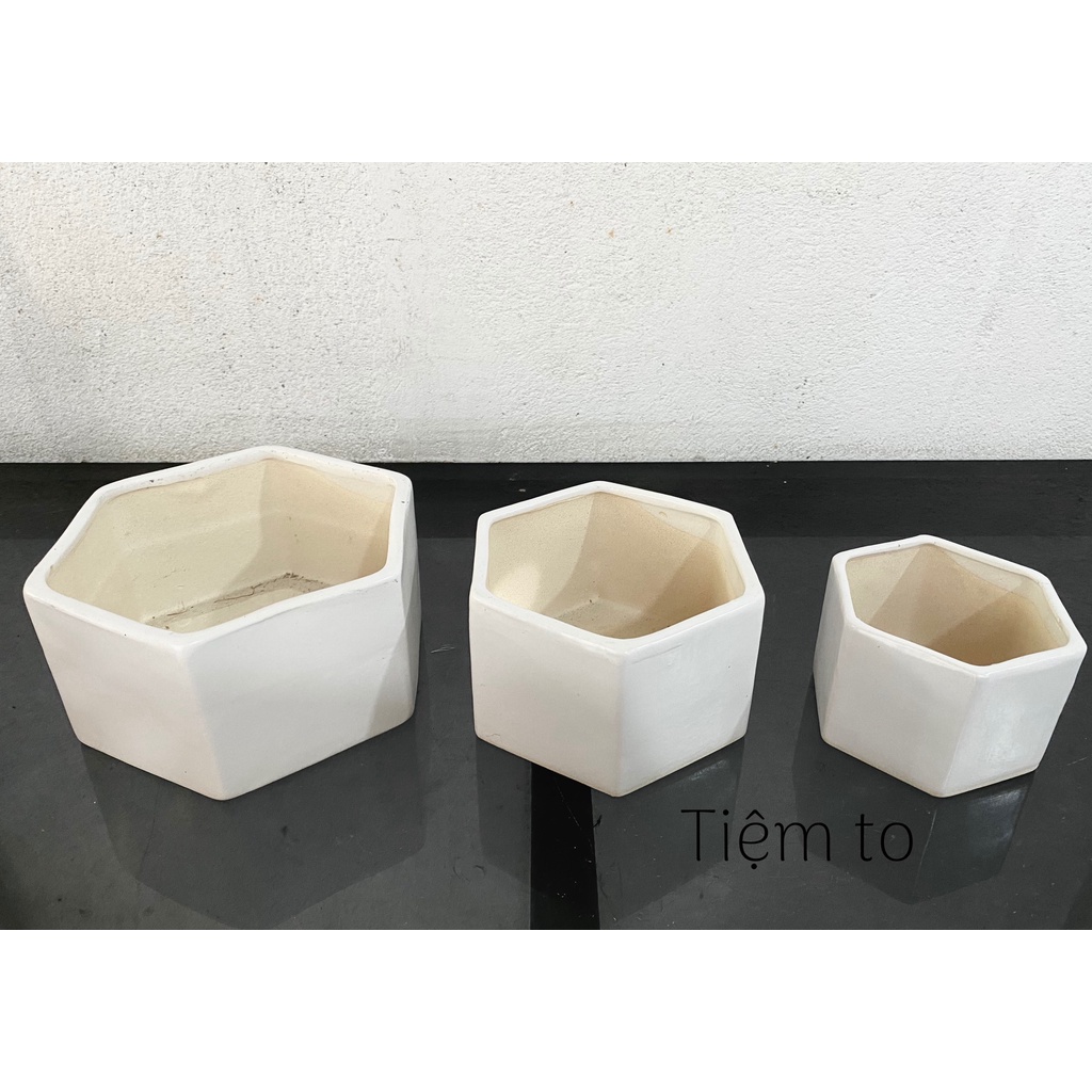 Chậu trồng cây lục giác tráng men trắng, chậu trồng sen đá , xương rồng , cây cảnh