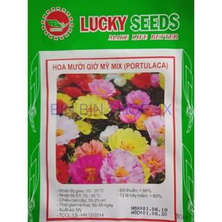Hạt giống hoa mười giờ mỹ -30 hạt