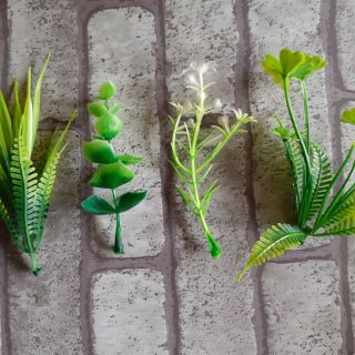 100gram cỏ điểm