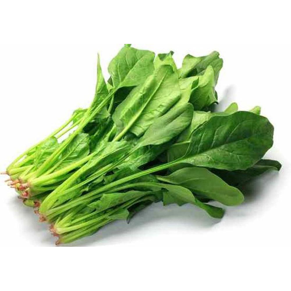 [Seeds] Hạt giống Cải bó xôi, đóng gói 5gr (khoảng 300 hạt), giàu dinh dưỡng, dễ trồng, ít sâu bệnh