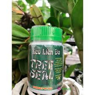 Keo đen liền sẹo vỏ cây của Mỹ USA