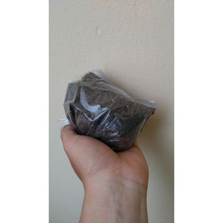Đất trồng sen đá, xương rồng: 200 gam