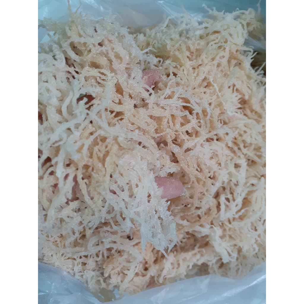 1kg RONG SỤN TƯƠI/ RONG SỤN GAI MUỐI - dùng làm gỏi, nấu chè