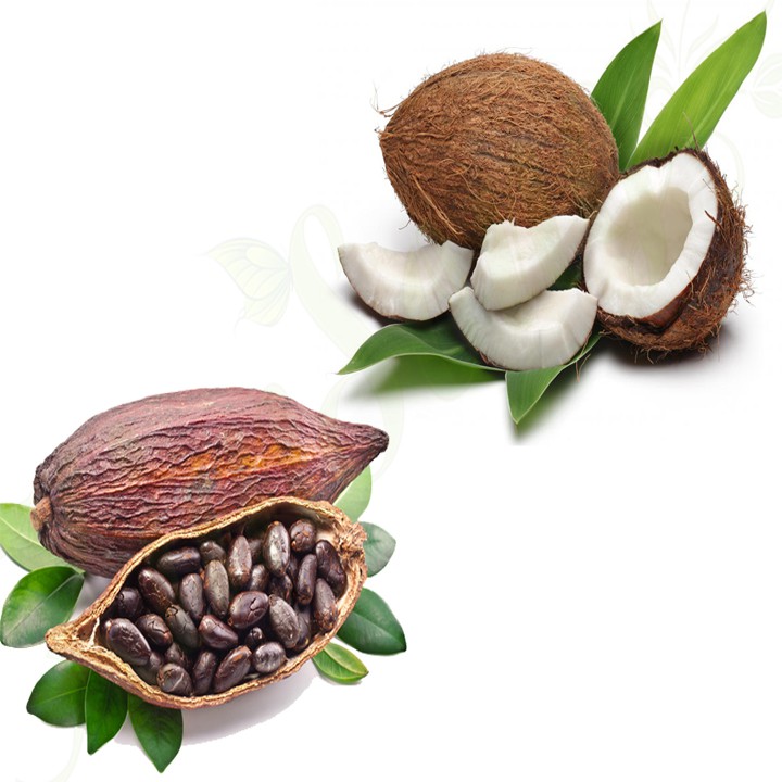 500Gr Bột Cacao Dừa