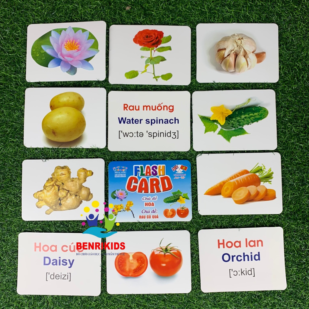 Thẻ Học FlashCard Thông Minh Loại To 16x12Cm 14 Chủ Đề Theo Phương Pháp Glenn Doman Giúp Bé Phát Triển Vượt Trội