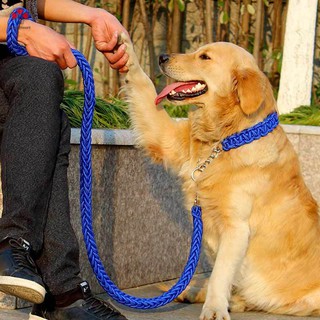 Dây Dắt Thú Cưng Đi Dạo Tiện Lợi