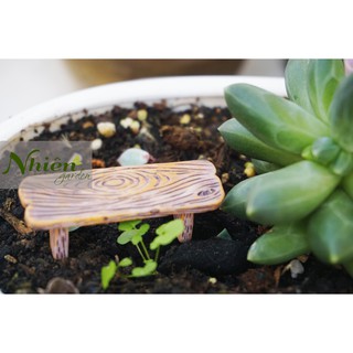 Băng ghế gỗ - phụ kiện terrarium đl