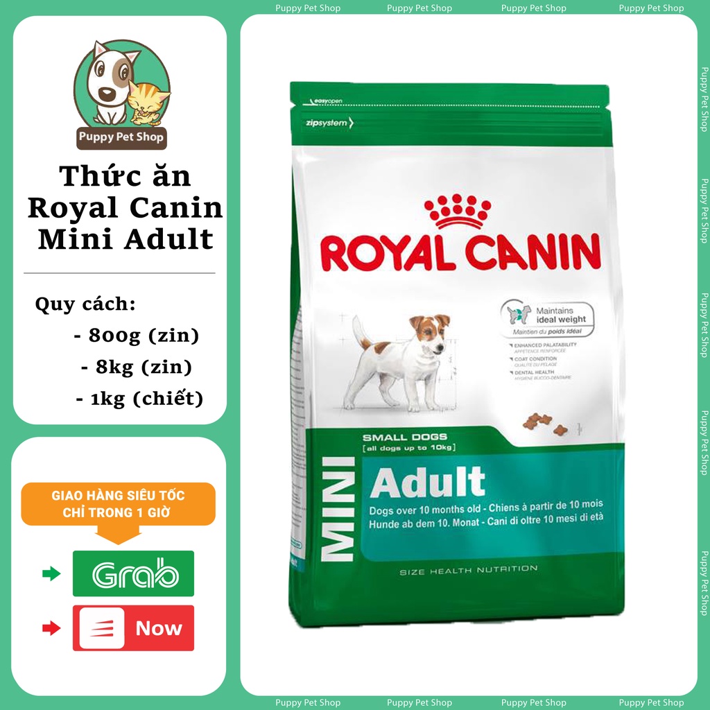 Thức ăn hạt dành cho dòng chó nhỏ trưởng thành - Royal Canin Mini Adult