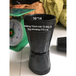 Bầu ươm size 16*14(200 cái/kg)