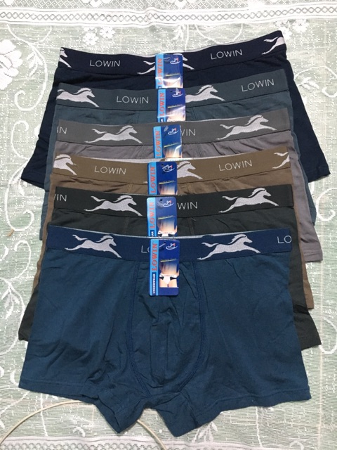 Quần sịp bơi boxer cotton set 12c/ quần đùi bơi size đại