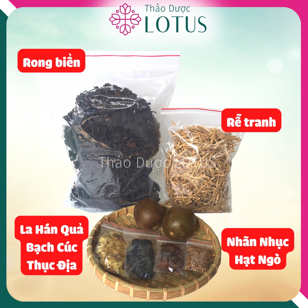 NƯỚC SÂM Rong Biển La Hán Quả nấu 10 lít nước giúp mát gan giải độc, giảm cân đẹp da - Thảo Dược LOTUS