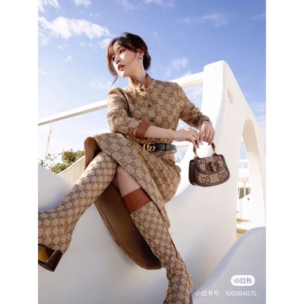 Túi Gc quai trúc s17