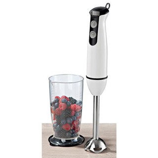 Máy xay cầm tay stabmixer ideen welt 600 watt nội địa đức