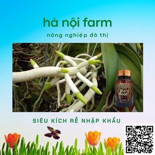 Bio Root MỸ kích rễ cực mạnh - 100ml