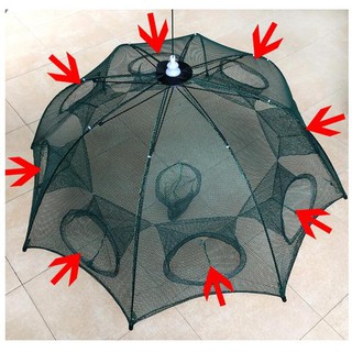 Lưới bát quái chuyên đánh bắt cá tiện dụng