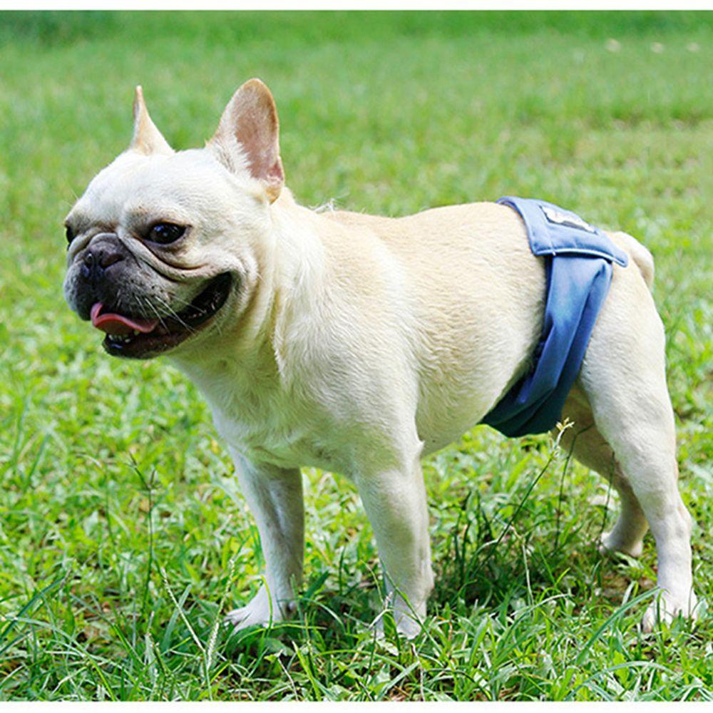 Layor1 Quần Sinh Lý Co Giãn Thiết Kế Dành Cho Cún Cưng