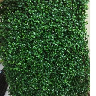 Cỏ nhân tạo _ Combo 15 cỏ xoong loại 1dày đẹp, màu xanh sáng, hàng y hình