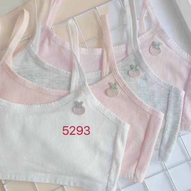 Áo lá học sinh trung học hàng cotton cao cấp