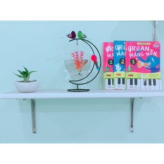 [ Tặng kèm phụ kiện ] Bể Cá Mini Cung Trăng 20