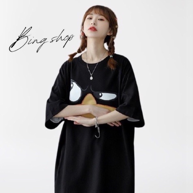 Áo thun nam nữ Unisex form rộng Bingshop